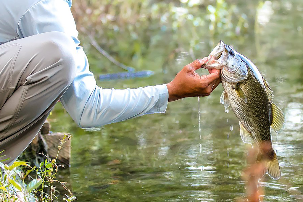 5 Tips for Landing Bass in the South