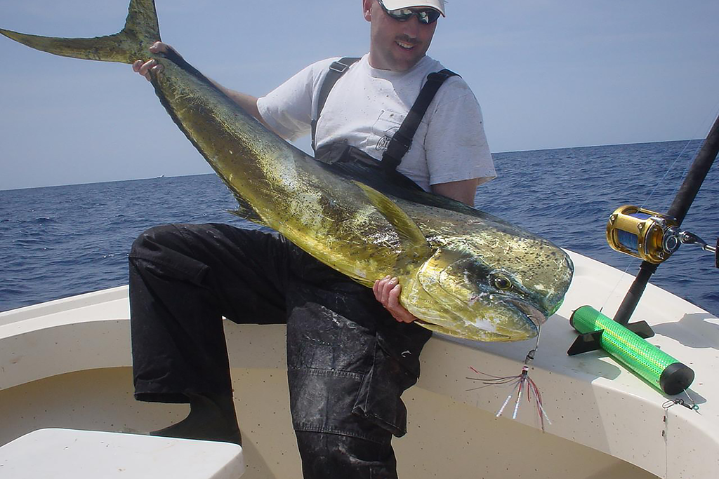 When is the Best Time to Catch Mahi Mahi